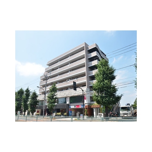 チェスナットヒルズ