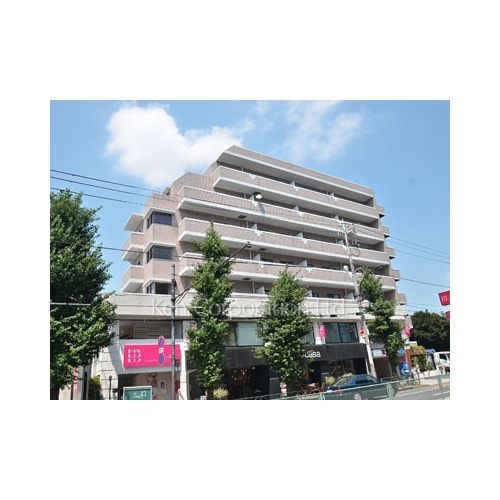 チェスナットヒルズ