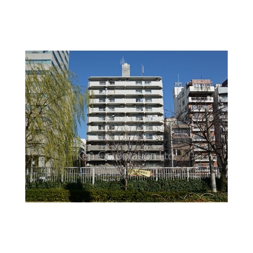 ニューハイツ西五反田