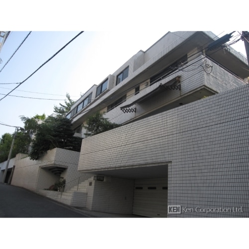 パインクレストカタクラ