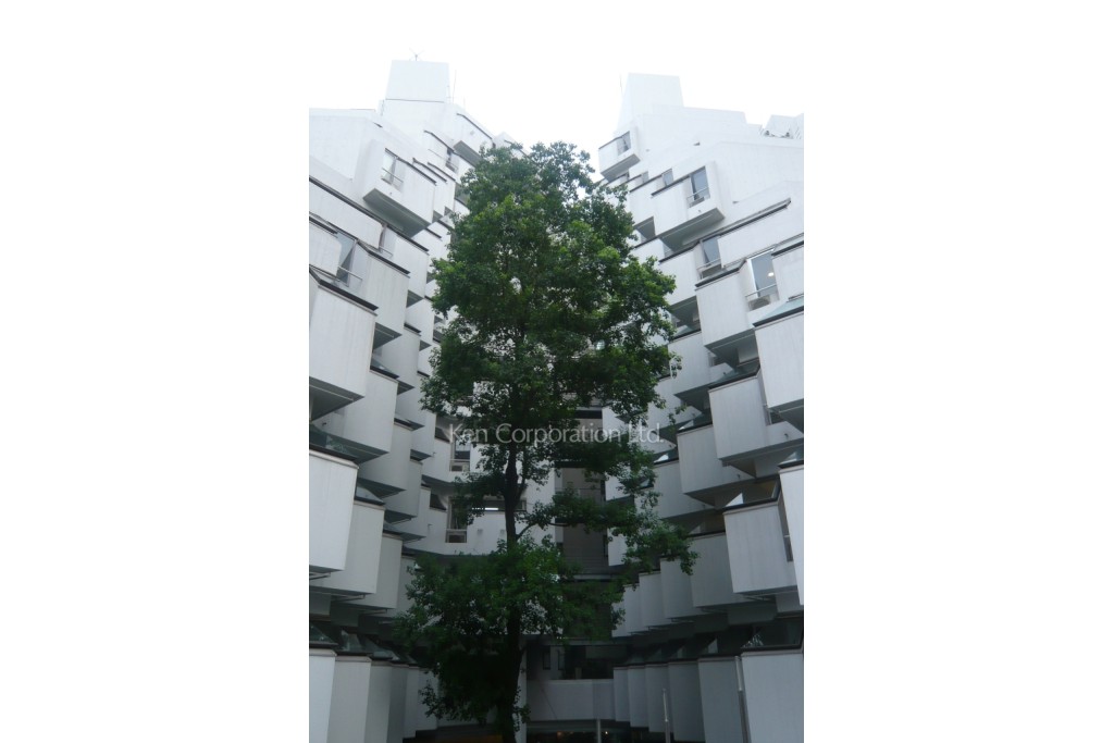 ビラモデルナ C棟