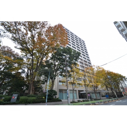 藤澤ビルディング