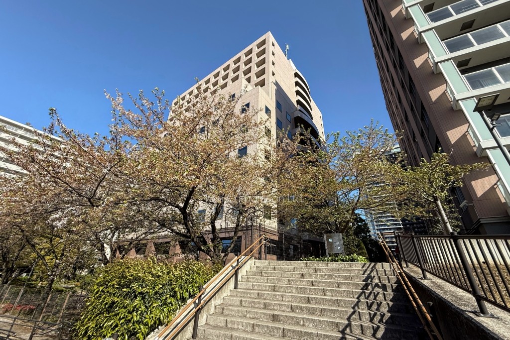 パシフィックマークス月島