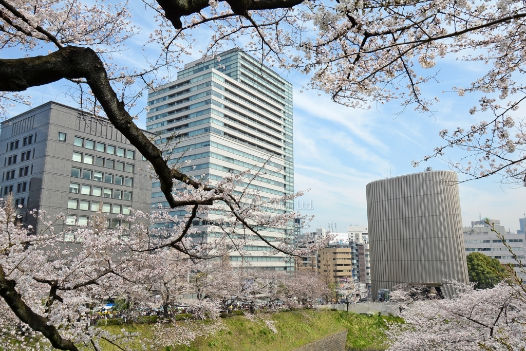 北の丸スクエア