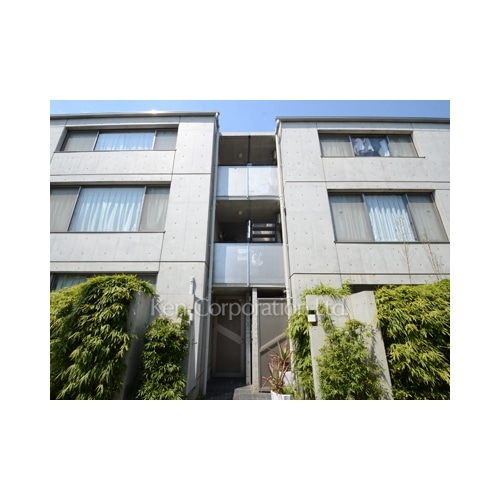 ｍｏｍｅｎｔｕｍ