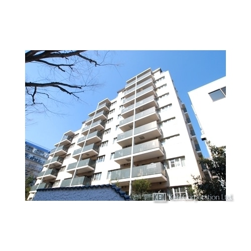 アデニウム高輪