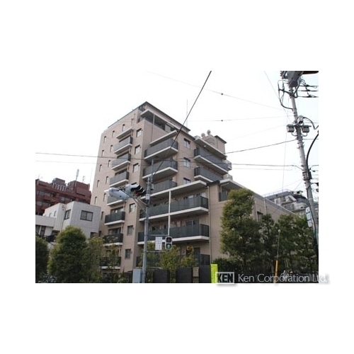 アデニウム高輪