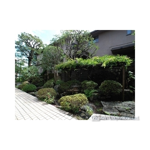 ＦＵＫＡＳＡＷＡ　ＳＥＶＥＮ