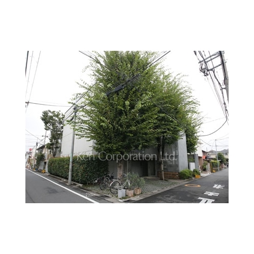 シャリオ自由が丘