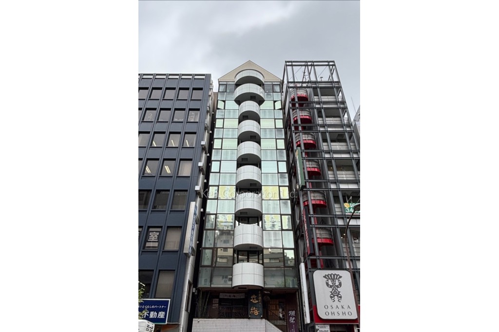 ビックナインビル