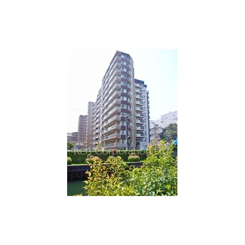 ニューシティアパートメンツ西大島