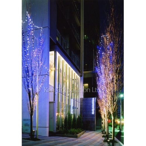 ｍｏｄｅｒｎｏ　ｔｏｒｒｅ　ｓｈｏ－ｔｏ