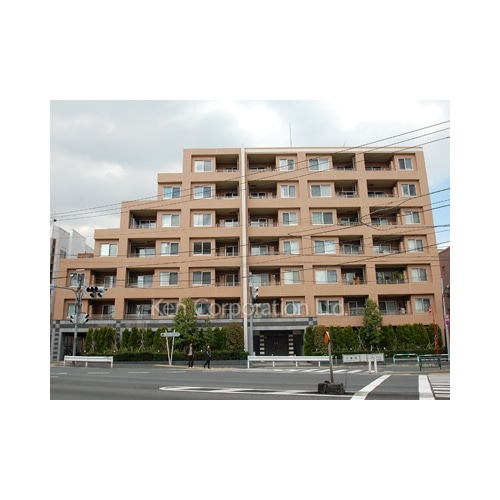 アデニウム学芸大学