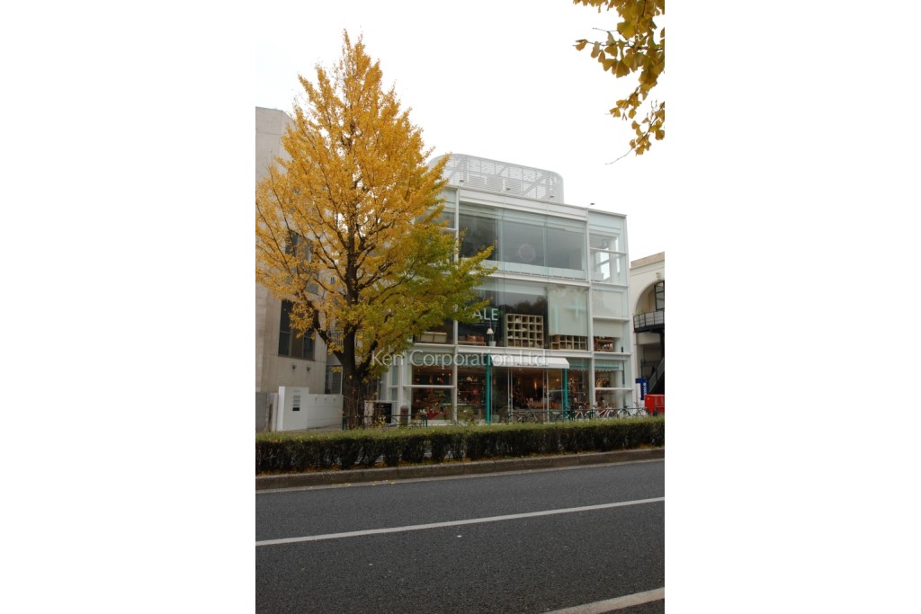 白金イガックスビル