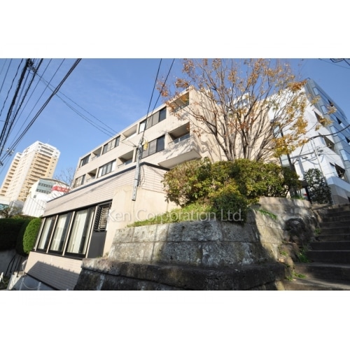 しろがねロッカス