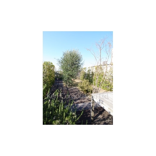 アビターレ玉川田園調布