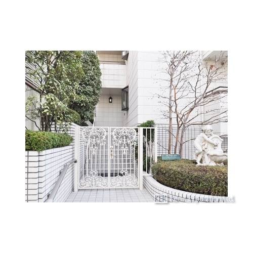 ＴＨＥ　ＫＡＳＨＩＷＡＧＩ’Ｓ