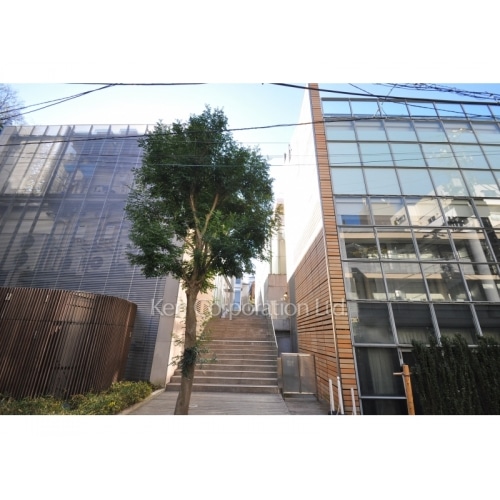 南青山６丁目デザインビル