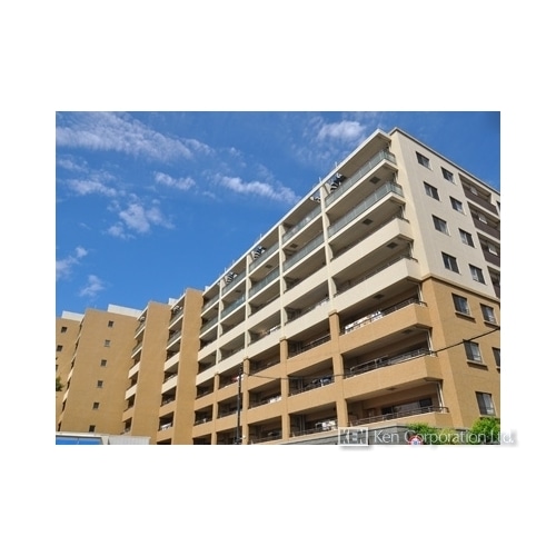 アデニウム吉祥寺