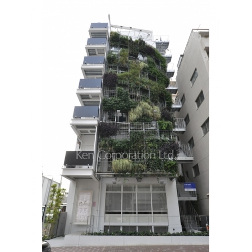 ＶＥＮＴ　ＶＥＲＴ