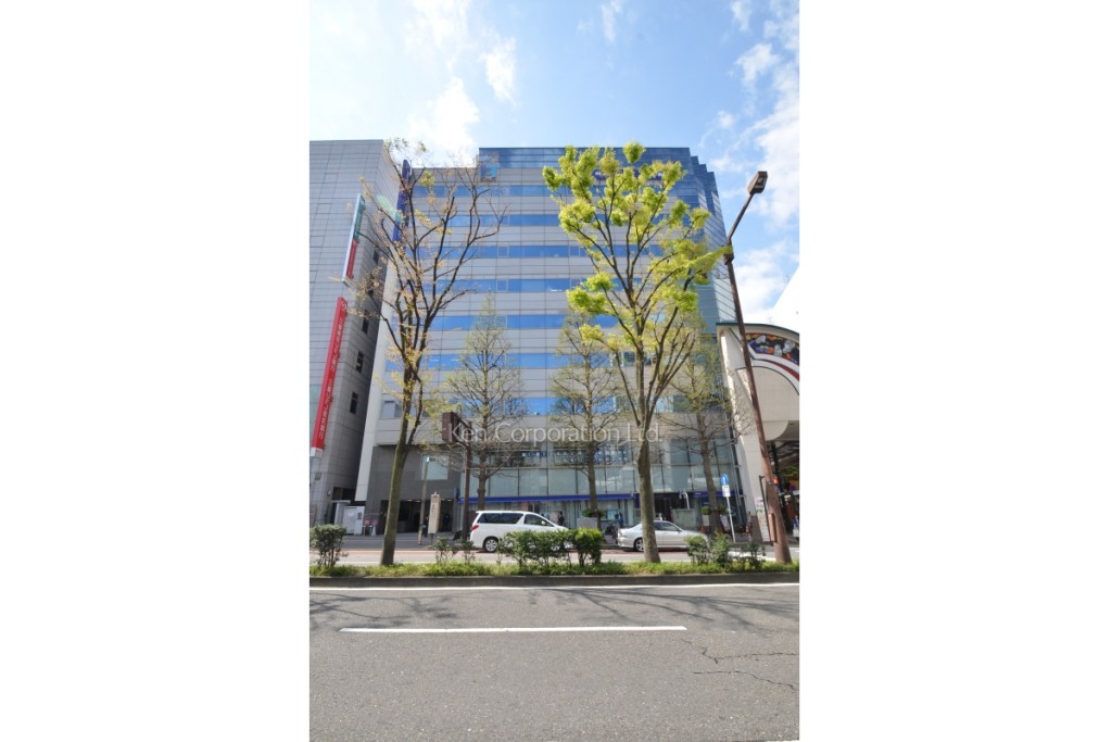 ヒューリック川崎ビル