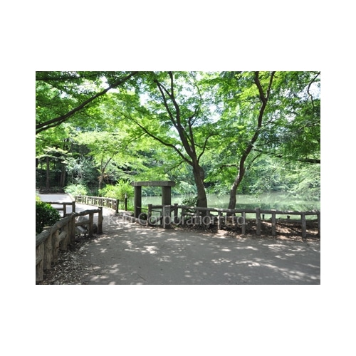 三鷹レジデンスあそ