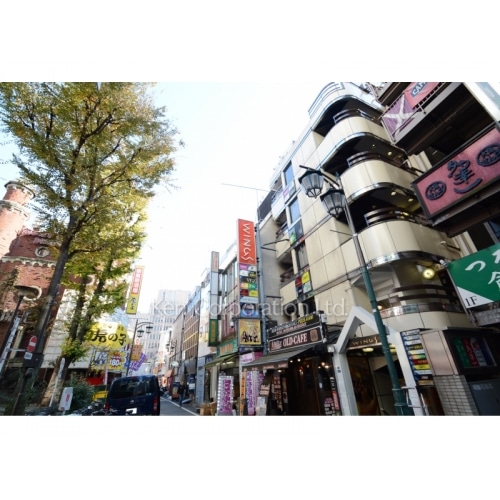 ウイングスビル