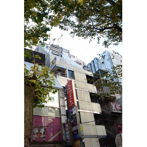 ウイングスビル