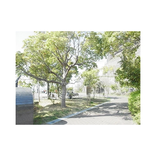 フォルム鎌倉常盤