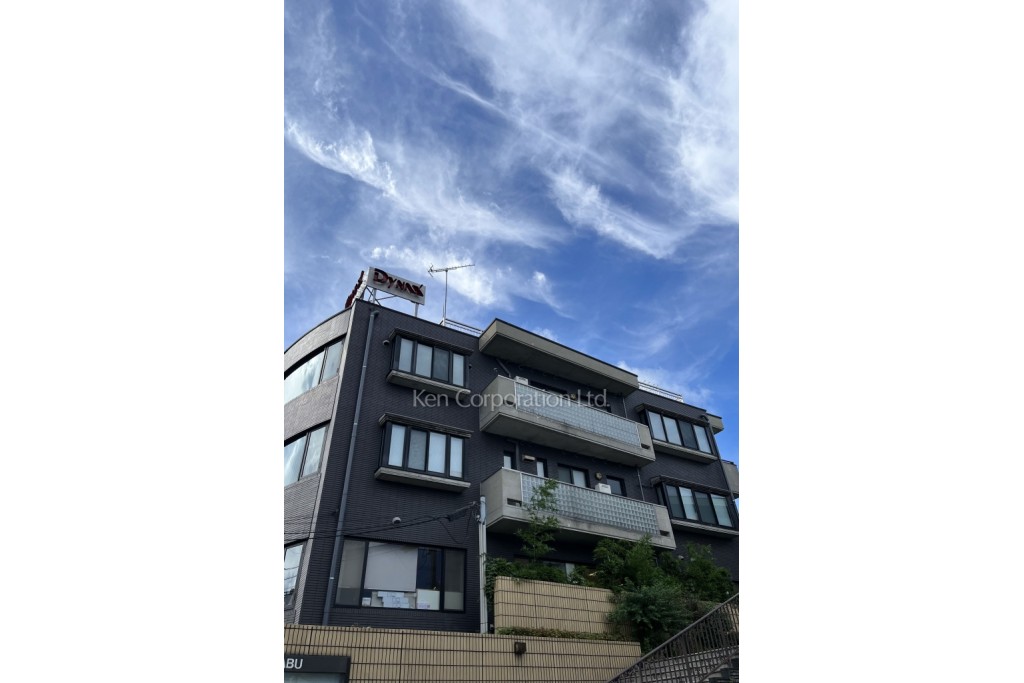 ダイナックスビル