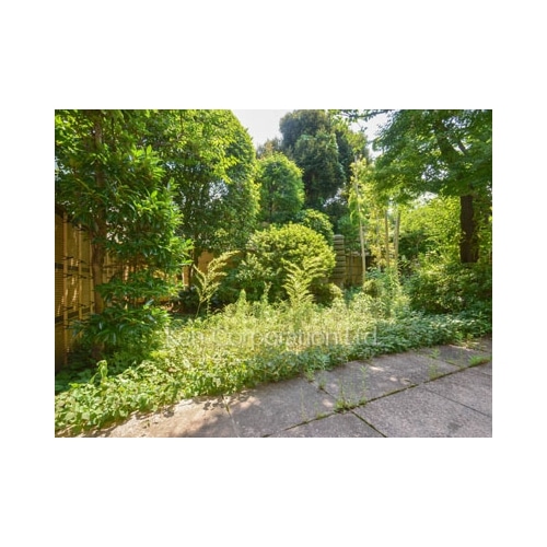 橋上コンパウンド  A