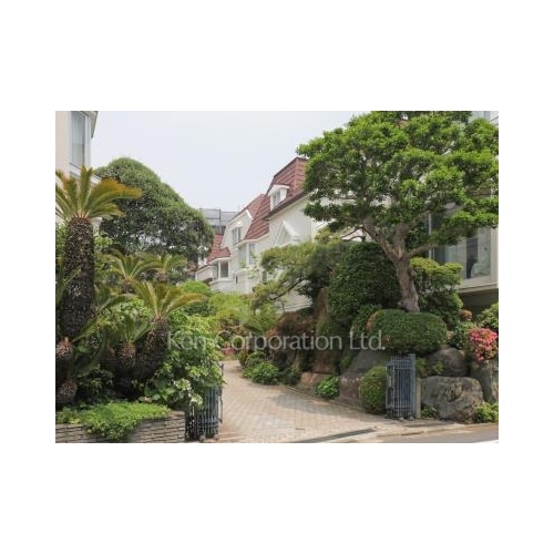 メゾングレース  F