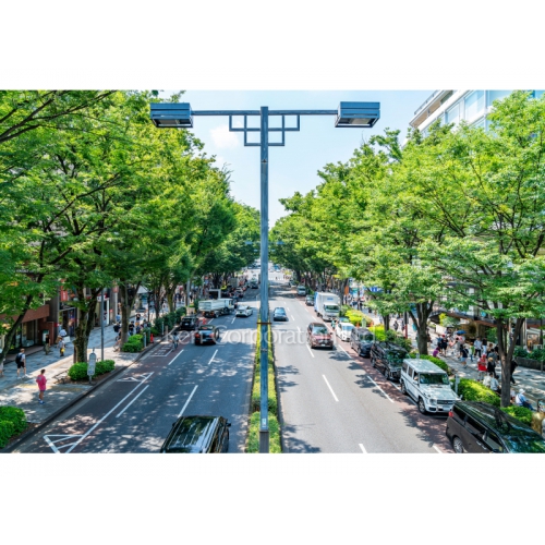 ミストラル表参道