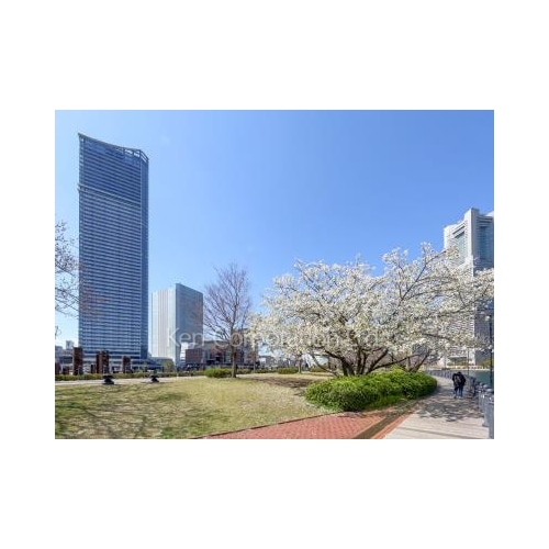 ザ・タワー横浜北仲