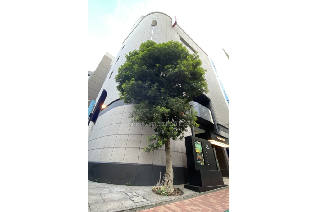 THE BATON Minami Aoyama