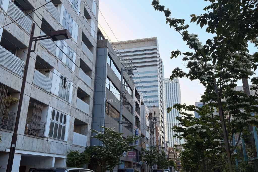 サイエスタビル 北館