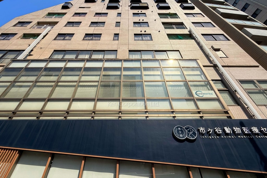 イヌイハイム市谷