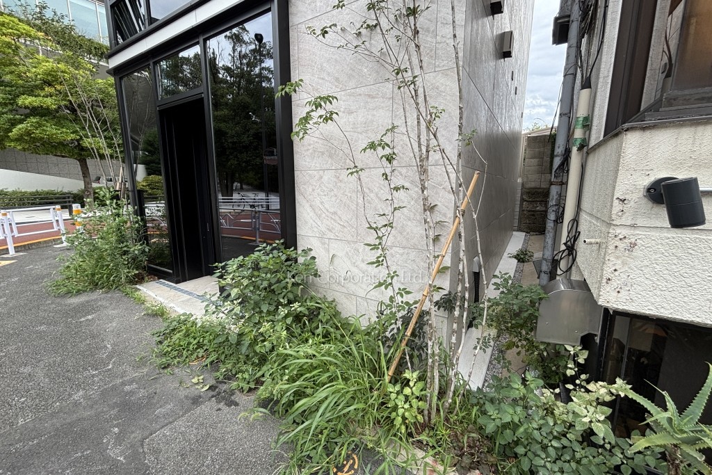 IPC Meiji Park Terrace