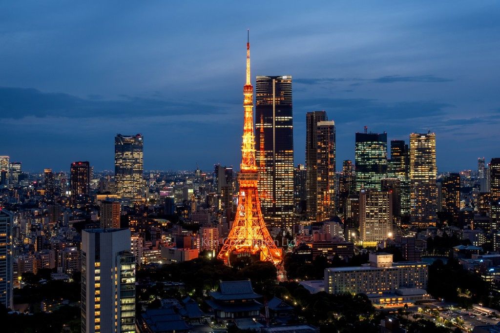 WORLD TOWER RESIDENCE