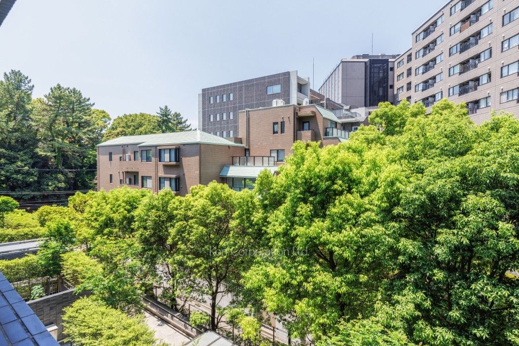 南青山テラス 常盤松フォレスト C棟 4階 2LDK