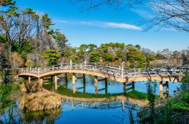 洗足池公園