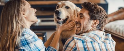 大型犬と住めるマンション特集