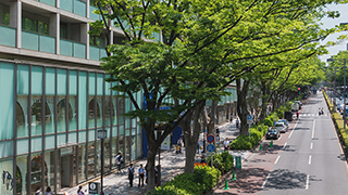 表参道の中古マンション特集-住宅購入