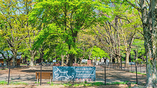 代々木上原の中古マンション特集-住宅購入